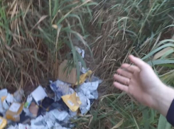 Кражу посылок волгодонцев и жителей Ростовской области расследуют в «Почте России» 