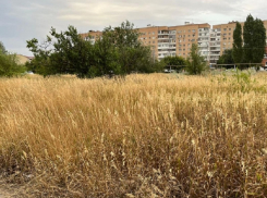 ДСиГХ начал зачистку муниципальных земель в квартале ВЦ-1