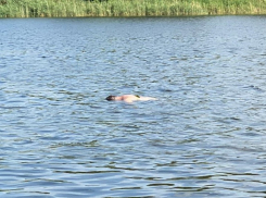 Мужчина утонул в станице Романовской недалеко от пляжа