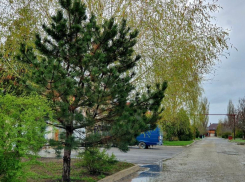 Небольшой дождь и сильный ветер ожидаются сегодня в Волгодонске