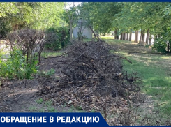 Аллея в Волгодонске утопает в мусоре: жители требуют действий