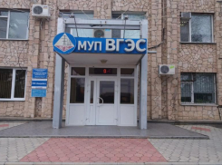 Муниципальные электросети Волгодонска превратятся в ООО