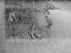 Стала известна судьба зверски избитого пьяной толпой молодого человека