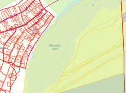 В Цимлянском районе выставили на продажу рыбоводный пруд с крупным массивом сельхозземель 