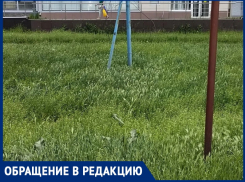 «Аллергики же просто задохнутся!»: горожанка шокирована травой по колено в центре города