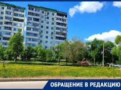 Ад для аллергиков: «природные» клумбы расцвели в Волгодонске
