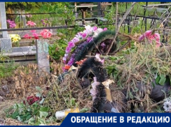 Заброшенные мусором могилы ветеранов Великой Отечественной войны показали волгодонцы