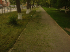 Траву покосили и оставили на тротуаре, - волгодонец