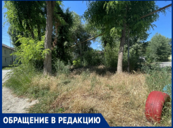«Кусок неучтенной земли зарастает»: жильцы Кадолина, 11 несколько лет не могут покосить траву