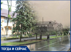 Волгодонск тогда и сейчас: Ленина в лесах, но без деревьев