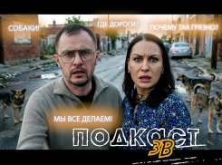 О бездомных собаках, плохих дорогах и грязи после зимы: подкаст «3В» с главным коммунальщиком Волгодонска  