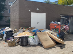 «Подложили свинью поликлинике»: волгодонцы мусором забаррикадировали вход в больничный архив