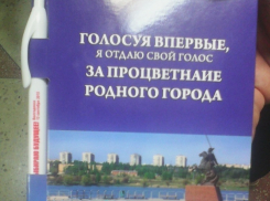 УИКи развлекали избирателей «очепятками» на выборах-2015 в Волгодонске