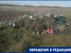 «Издевательство над усопшими и живыми»: волгодонцы о свалке мусора на кладбище №3 