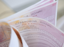 Ростовская область остается одним из лидеров по страховому мошенничеству 
