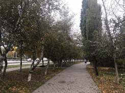 Холодный ветер и небольшой дождь ожидаются в Волгодонске сегодня
