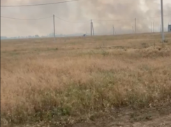 «Я там чуть не задохнулся!»: огонь на полях вдоль Ростовского шоссе перекинулся на дома многодетных семей 
