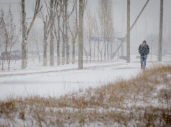  В ближайшие дни синоптики обещают Волгодонску снег