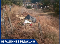 «Все кладбище в зарослях, мусоре и зловонии – когда будет наведен порядок?»: жители Цимлянска