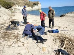 Волгодонец упал с пятиметрового обрыва берега Цимлянского водохранилища