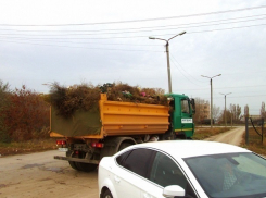 Мусорный коллапс на новом кладбище Волгодонска  продлится до весны