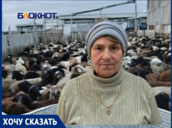 «Мы утопаем в крови и навозе!»: фермер превратил казачий хутор в огромную скотобойню и скотный двор