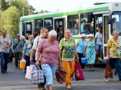 Волгодонские дачники откроют новый сезон