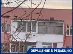 «Мы так всю природу убьем»: волгодончанка потребовала вернуть доступ голубям к чердаку 