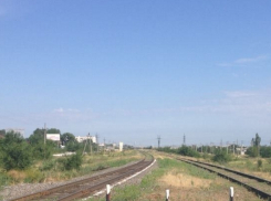 В Волгодонске найдено обезображенное тело мужчины, изгрызенное собаками