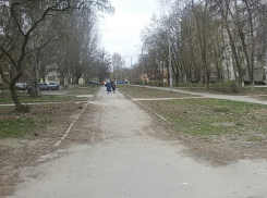 Умеренно-теплую погоду и небольшую вероятность дождя обещают синоптики для Волгодонска