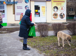 Вакханалия в небе и +14 на термометре: о погоде в Волгодонске 9 марта