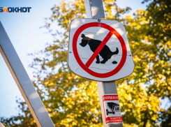 «Выгуливать можно, а какать нельзя»: волгодонцы пожаловались на выгул собак в парке главе администрации