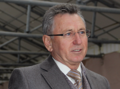 Виктор Мельников потребовал посадку деревьев в Волгодонске, как в Европе