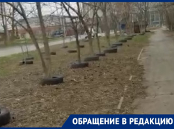 «Кому это может нравится»: волгодончанка о покрышках вокруг деревьев