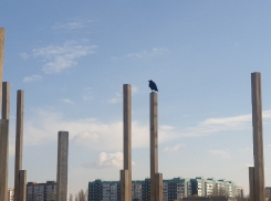 Развитие Молодежного парка пройдет под надзором особой комиссии