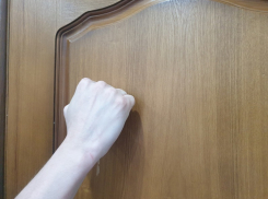 В Волгодонске по квартирам будут ходить люди и спрашивать о работе и доходах