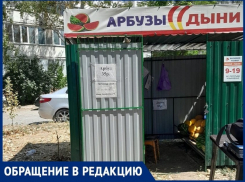 «Приехали и нагадили»: местные жители о торговцах арбузами, которые сломали деревце