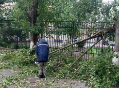 Шторм обрушился на Волгодонск: как город справляется с последствиями