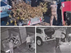 Волгодонск усиливает борьбу с несанкционированным выбросом отходов