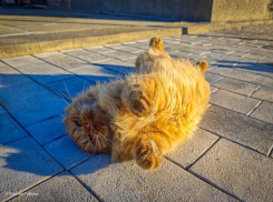 Сегодня днем выглянет солнце