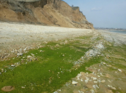 Приток воды в Цимлянское море вырос на одну треть по сравнению с прошлым годом