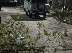 Молодой мужчина погиб при падении из МКД на Весенней в Волгодонске