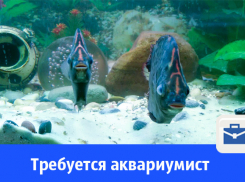 В Волгодонске в компанию требуется аквариумист