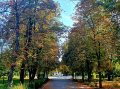 Солнечной и ветреной будет пятница в Волгодонске