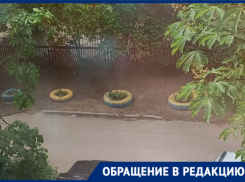 Перекрасить желто-синие клумбы или убрать их с улиц города потребовала волгодончанка 