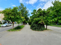 Август начнется в Волгодонске с умеренно жаркой погоды