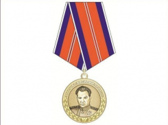 Волгодонских спасателей отметили памятной медалью МЧС России «Маршал Василий Чуйков»