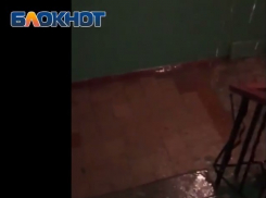 Волгодонцы сняли на видео жуткий потоп в подъезде