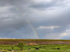 В первый день лета в Волгодонске может пойти небольшой дождь