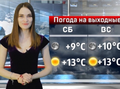 В Волгодонске будут теплые и солнечные выходные